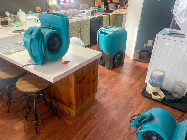 Best Carpet water damage restoration  in Lexington Park, MD