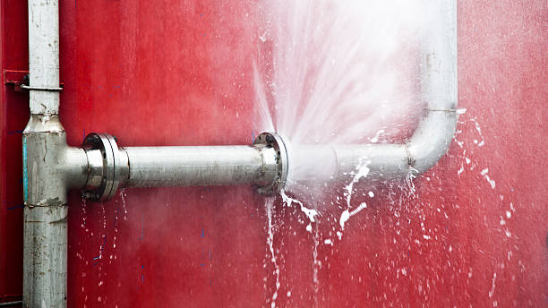 Best Flood restoration services  in Lexington Park, MD